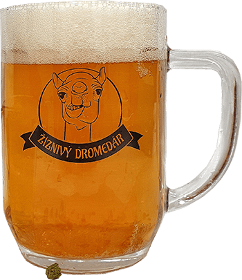 Pivo