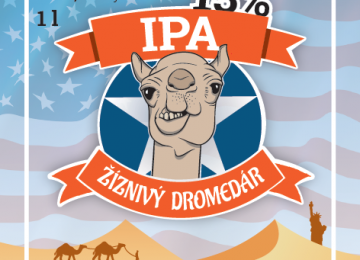 13 Ipa Pivo